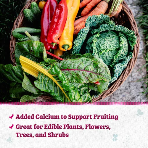 Miniatura 4 de Back to The Roots Harina de sangre 100% orgánica Fabricada en los EE. UU. Nutrición premium para jardinería de plantas de interior y exterior