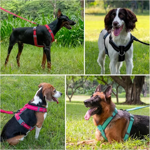 Miniatura 6 de Arnés para perro Plutus Pet sin tirón, arnés ajustable de nylon con acolchado suave, arnés para perro reflectante y resistente para perros pequeños
