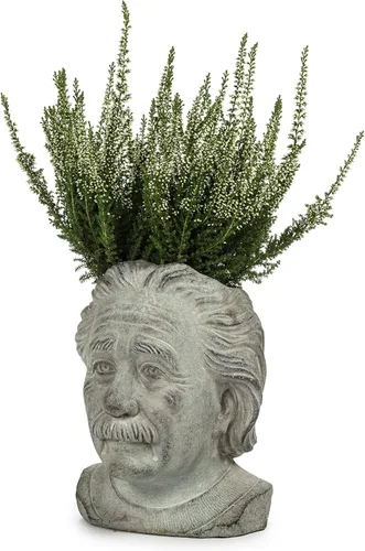 Miniatura 4 de Abbott Collection - Maceta pequeña con cabeza de Einstein, color gris (4 x 8 pulgadas)