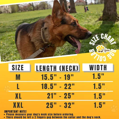 Miniatura 4 de ADITYNA Collar táctico para perros grandes, acolchado suave, resistente, servicio, ajustable, militar K9 con asa para entrenamiento y caminar Gris
