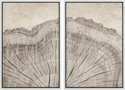 Miniatura 137 de MUDECOR Impresión en Lienzo Enmarcado Arte de Pared Anillos de Árbol de Madera de Roble Ilustración de la Naturaleza Arte Moderno Decorativo