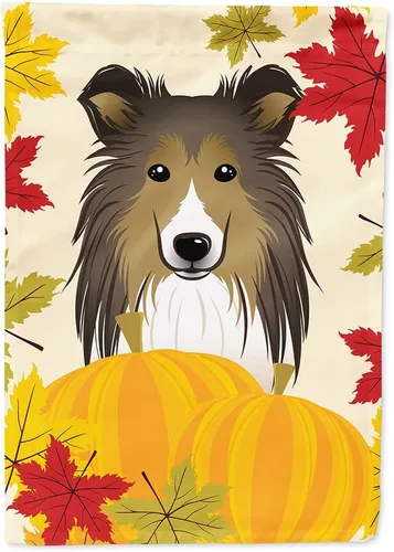 Miniatura 45 de Caroline's Treasures BB2047GF Bandera de jardín de Acción de Gracias Border Collie, bandera decorativa para patio exterior, obras de arte de patio