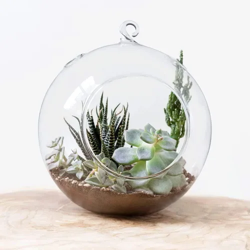 Miniatura 3 de Mkono Paquete de 5 macetas de vidrio colgantes para plantas de aire, decoración de terrario para suculentas, Tillandsia, portavelas