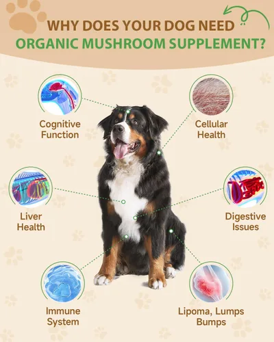 Miniatura 2 de Suplemento de hongos 9 en 1 para perros, hongo de cola de pavo para perros, tratamiento de bultos y protuberancias para perros, soporte digestivo