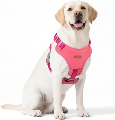 Miniatura 8 de Xlife Arnés para perros y gatos pequeños, arnés de chaleco ajustable sin tirones con hebilla de seguridad y anillo en D sin asfixia, fácil de poner