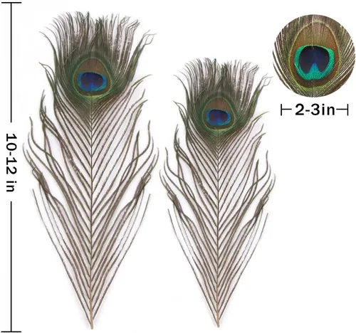 Miniatura 3 de CCINEE 15 plumas de pavo real natural, plumas de cola de pavo real de 10 a 12 pulgadas para manualidades, disfraz de Halloween, dama de honor