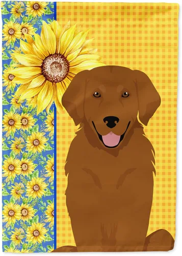 Miniatura 357 de Caroline's Treasures WDK5331CHF - Bandera de verano con diseño de girasoles rojos y blancos, manga grande, para porche, para colgar en la pared