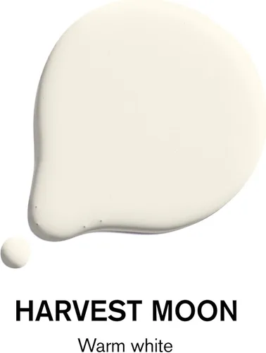 Miniatura 2 de BACKDROP Pintura interior de alta calidad Muestra de pintura adhesiva grande Harvest Moon - Blanco cálido Muestra de color de 12 x 12 pulgadas