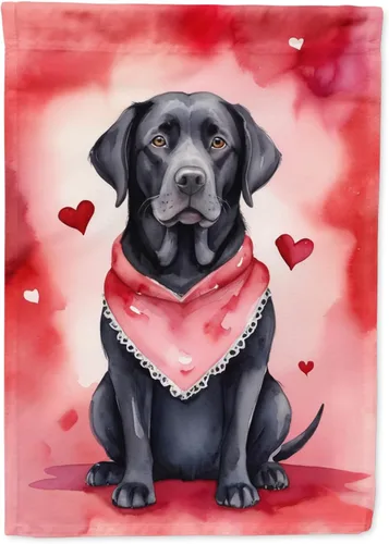 Miniatura 65 de Caroline's Treasures DAC5292CHF - Bandera de Border Collie My Valentine House para porche, grande, con manga para porche, para colgar en la pared