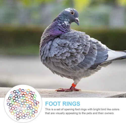 Miniatura 6 de Balacoo 100 bandas coloridas para patas de paloma, anillos de identificación de plástico para pájaros, anillo de pie de pájaro con broche abierto