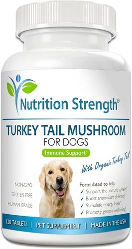 Hongo orgánico de cola de pavo para perros, 500 mg de apoyo inmunológico de alta potencia, promueve la salud celular, la actividad antioxidante y la