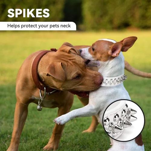 Miniatura 3 de Collar de perro y gato con pinchos pequeños para perros pequeños y medianos machos y hembras, collares ajustables con tachuelas para cachorros