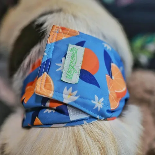 Miniatura 6 de wegreeco Pañales lavables para perros machos (patrón elegante), paquete de 3 (fruta, S)