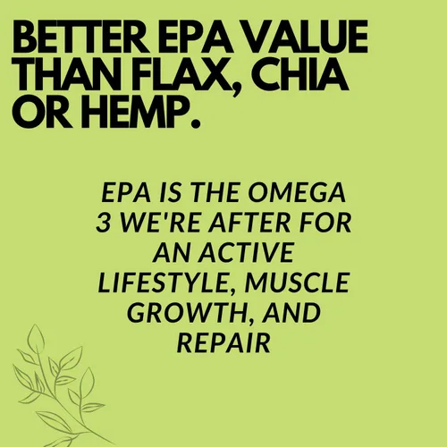 Miniatura 5 de Alternativa al aceite de pescado vegano – Suplemento galardonado con Omega 3, DHA, EPA y GLA – Omegas a base de plantas – 4 veces mejor que el lino