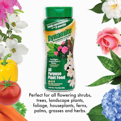 Miniatura 4 de Dynamite - Alimento vegetal multiusos de 9 meses de 2 libras