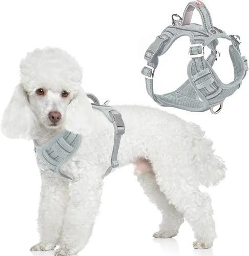 Miniatura 32 de BARKBAY Arnés para perro sin tirones con bolsillo para etiqueta de identificación, resistente, reflectante, fácil control para perros grandes