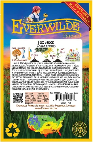 Miniatura 2 de Everwilde Farms - 1000 semillas de hierba nativa Fox Sedge - Paquete de semillas jumbo Gold Vault