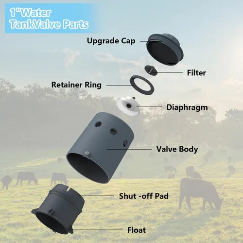 Miniatura 6 de Válvula de flotador de 1" para tanque de agua, Válvula de control automático de nivel de agua, Válvula de llenado de alto flujo para tanque