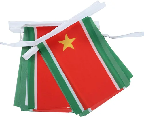 Miniatura 316 de AZ FLAG Señal marítima internacional 42.7 ft BUNTING Flag 40 banderas 9'' x 6'' - Banderas de cuerda del alfabeto náutico 5.9 x 8.3 in