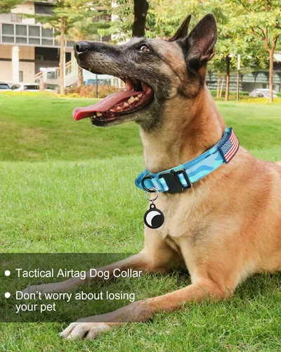 Miniatura 2 de Hotsky collar táctico para perros medianos y grandes, ajustable, de nailon, para entrenamiento militar, con asa y hebilla de metal resistente