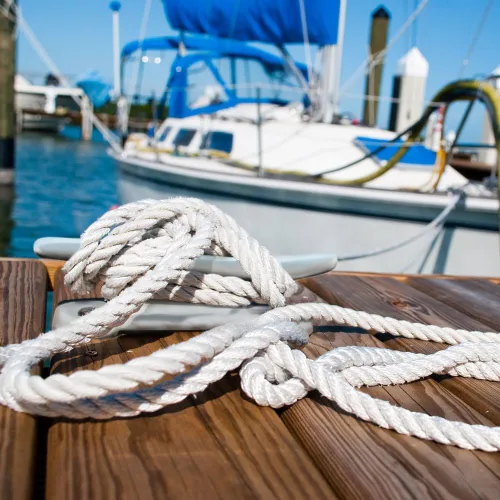 Miniatura 4 de grapa de muelle de acero inoxidable, accesorios y herramientas para amarre de barcos por Corona Sporting Goods.