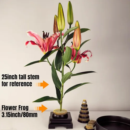 Miniatura 2 de Florero de Rana Floral Grande Flor de Rana para Arreglos Florales Suministros Japoneses Ikebana Kenzan con Base de Caucho (80mm)