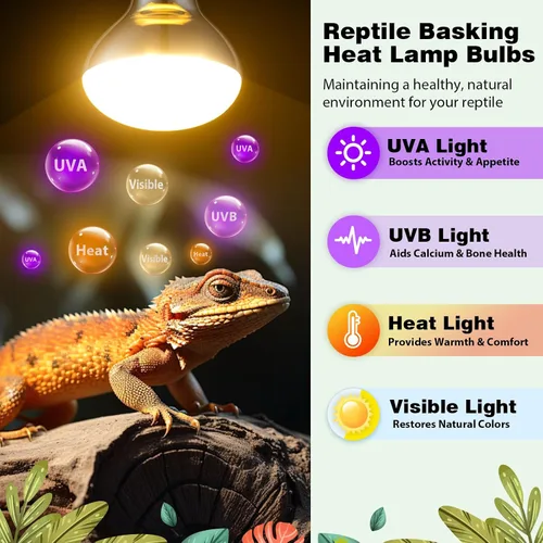 Miniatura 2 de Paquete de 2 bombillas de calor de reptiles de 100 W, bombilla de espectro completo para reptiles UVA/UVB y luz de punto de disfrute, luz UVB