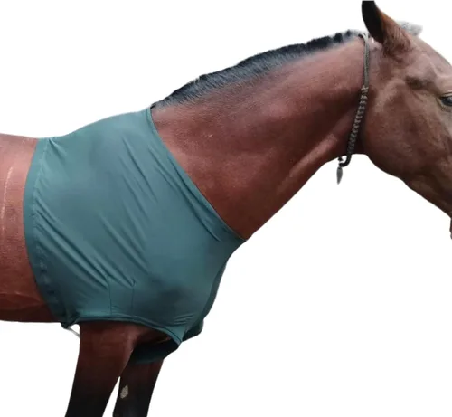 Miniatura 7 de Majestic Ally Protector de hombro de caballo de elastano/elastano elástico en 4 direcciones para y protección, grande, color negro