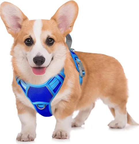 Miniatura 99 de BARKBAY Arnés para Perro Sin Tirones Talla Grande Arnés Reflectante para Perro con Clip Frontal y Asa de Control Fácil para Caminar Entrenar Correr