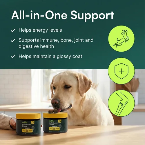 Miniatura 6 de Wuffes Suplemento multivitamínico para perros 23 en 1 para cadera y articulaciones, piel, pelaje y apoyo del sistema inmunológico con Omega 3