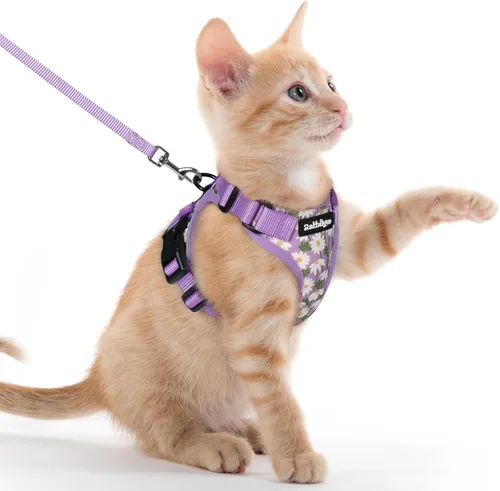 Miniatura 88 de rabbitgoo Cat Harness and Leash Set, Escape Proof Vest, XXS, Berry Pounce Soft Breathable Mesh, No-choke Adjustable Fit, Snap Buckles, Sturdy