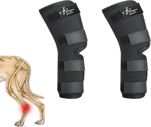 Miniatura 5 de Doggie Stylz Soportes de pierna de perro para pierna trasera, ajustable, para recuperación de desgarros, artritis, soporte de movilidad de primera