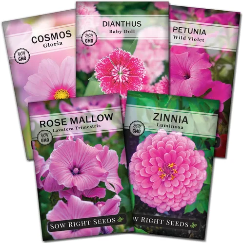 Sow Right Seeds - Colección de semillas de flores rosas para plantar - Paquetes de reliquia sin OMG con instrucciones - Maravillosas flores rosadas