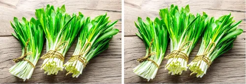 Miniatura 7 de Wild Garlic Ramsons Buckrams Wild Onion 40 semillas sin OMG para plantar
