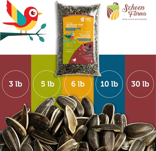 Miniatura 6 de Schoen Farms Semillas de girasol a rayas – Alimento para aves – Bolsa de 10 libras – Semilla de ave silvestre premium para cardenales, arrendajos
