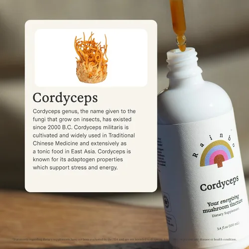 Miniatura 3 de Rainbo - Tintura de hongos Cordyceps - Suplemento de hongo de extracto dual - Apoyo inmunológico, energía, suplemento Cordyceps líquido, vegano, sin