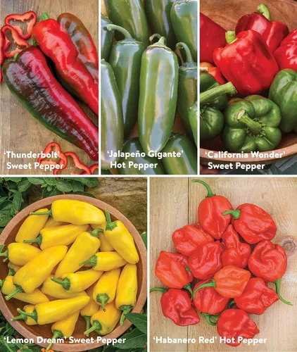 Miniatura 5 de Colección Burpee Best 10 Paquetes de Mezcla Fresca Sin OGM de Pimiento Picante y Variedades Dulces Jalapeño, Semillas de Pimiento Morrón y Más
