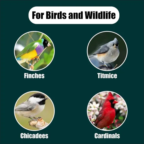 Miniatura 6 de Old Potters Wildlife - Semillas de girasol de aceite negro para aves y vida silvestre, sin OMG y cultivadas en Estados Unidos en pequeñas granjas