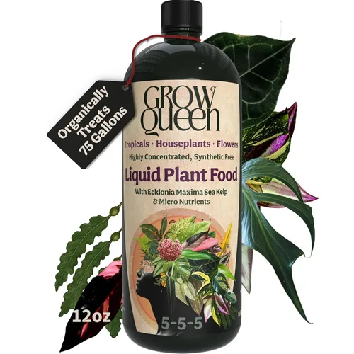 Miniatura 12 de Organic Liquid Indoor Plant Food, Houseplant, Tropical & All-Purpose Indoor Plant Fertilizer, Organic Liquid Fertilizer 5-5-5 with Sea Kelp 1 Gallon
