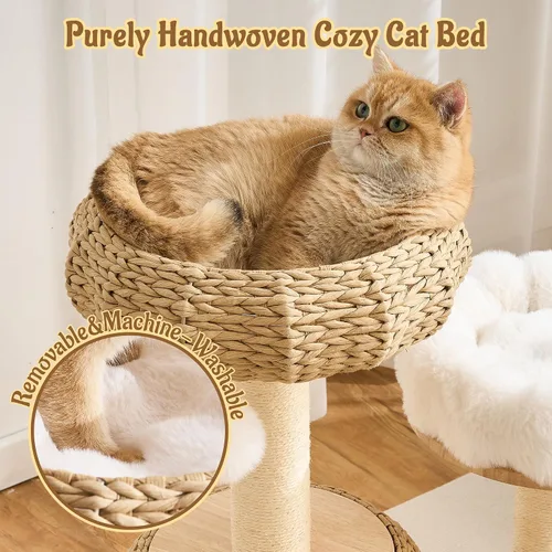 Miniatura 2 de Moderna torre de árbol para gatos de interior, madera maciza de 30 pulgadas y ratán para gatos con postes rascadores y auto arreglado, cama de felpa