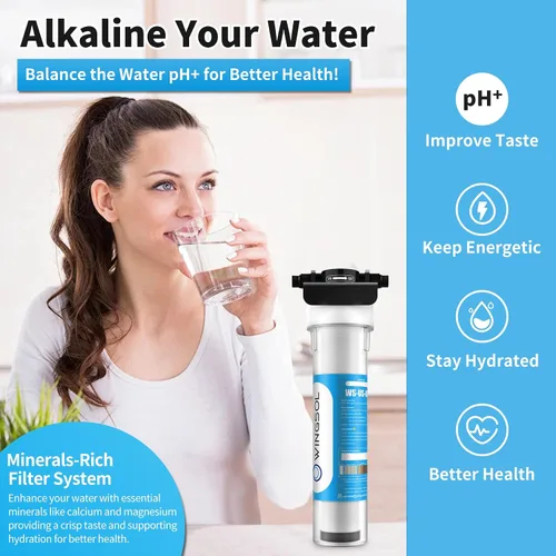 Miniatura 3 de WINGSOL Filtro de agua Jumbo para debajo del fregadero, reduce metales pesados, cloro, alcalinización, de larga duración, 5 en 1, funciona