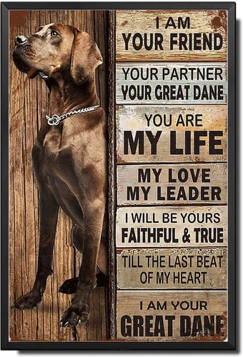 Miniatura 35 de Letrero de Metal Letrero de Hojalata Arte de Pared Vintage I Am Your Friend Regalo para Amantes de Schnauzer Arte de Pared Vintage Impresiones