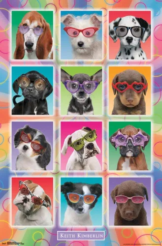 Miniatura 18 de Trends International Keith Kimberlin - Póster de pared con diseño de cachorros, gafas de sol, 14.725 x 22.375 pulgadas, versión enmarcada de madera