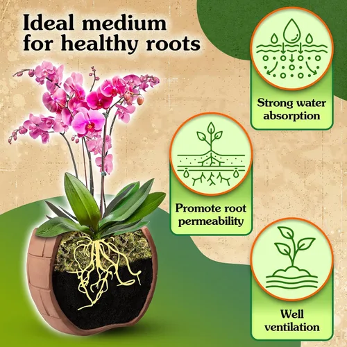 Miniatura 4 de Musgo natural para plantas de interior, musgo seco para plantas en maceta, musgo de orquídea para trasplantar, musgo de bosque para mezcla