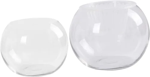 ARTIBETTER Jarrón hidropónico de vidrio transparente, 2 piezas, decorativo para escritorio, para oficina en casa y hotel, para flores eternas y
