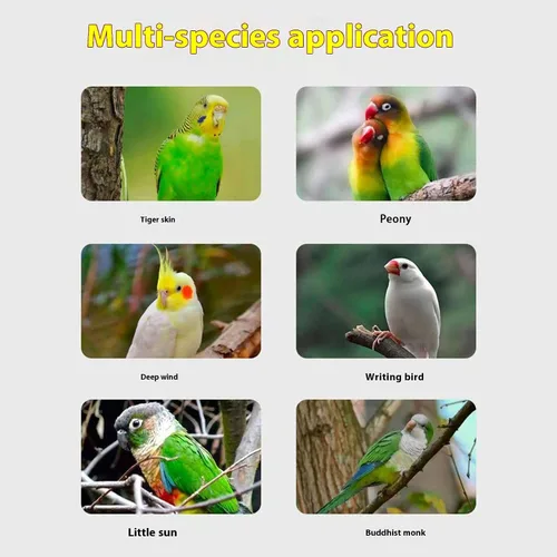 Miniatura 5 de Correa para pájaros al aire libre para loros, cuerda de entrenamiento de 9.8 ft de largo, ajustable, correa de pájaro para mascotas con anillos