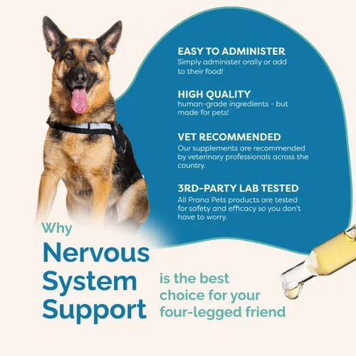 Miniatura 5 de PranaPets Apoyo del sistema nervioso para perros y gatos Fórmula herbaria ayuda de forma segura a reducir el nerviosismo, movimientos musculares
