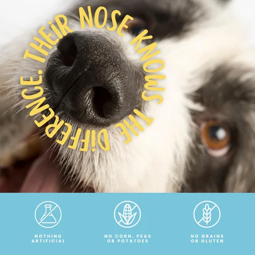 Miniatura 8 de Hotspot Pets Golosinas para perros de pulmón de cordero deshidratadas de un solo ingrediente, bolsa grande de 1 libra, totalmente natural, fabricada