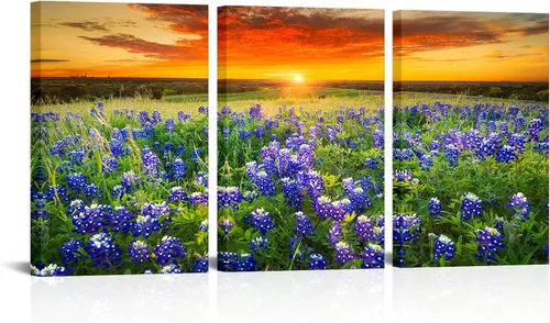 Miniatura 7 de Nachic Wall Cuadro de 3 piezas de puesta de sol para pared, hermoso campo de arándanos de Texas, pintura fotográfica sobre lienzo, póster de paisaje