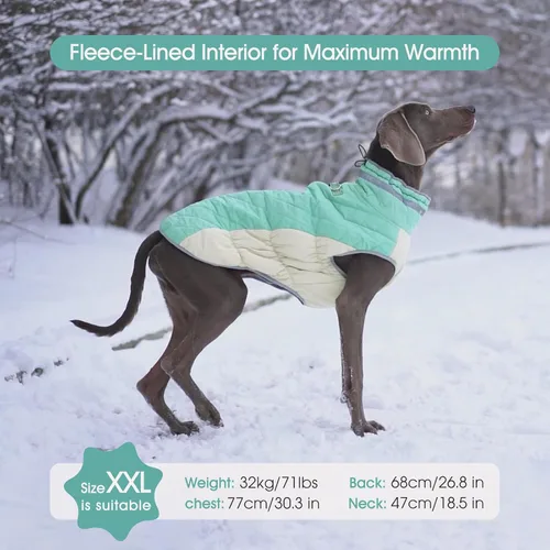 Miniatura 3 de FUAMEY - Chaqueta de invierno para perro, chaleco acolchado con arnés, ropa cálida para mascotas, abrigo con cremallera, impermeable, para perros